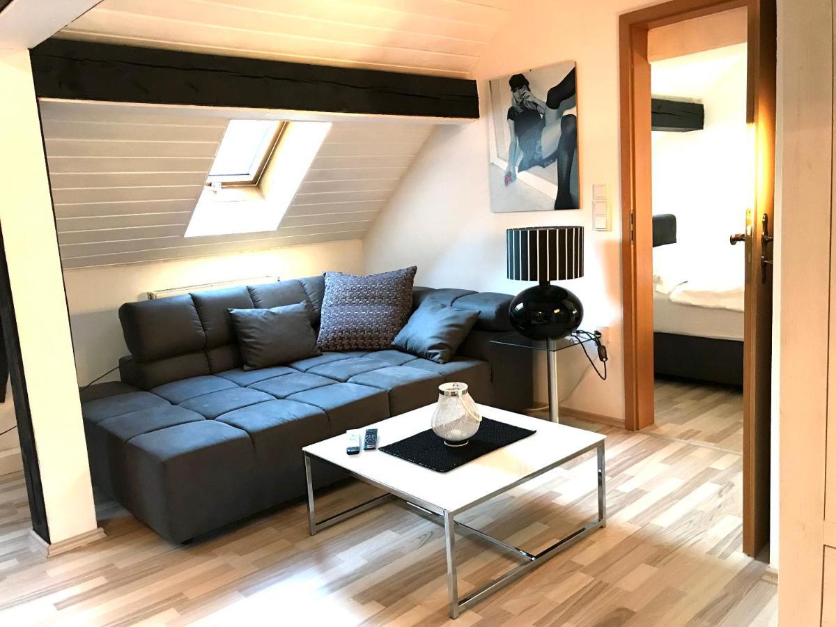 Apartment Direkt An Der Waldnaab Нойштадт-ан-дер-Вальднааб Экстерьер фото