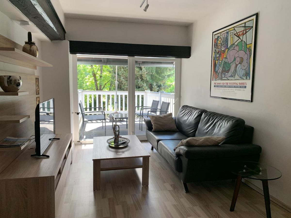 Apartment Direkt An Der Waldnaab Нойштадт-ан-дер-Вальднааб Экстерьер фото