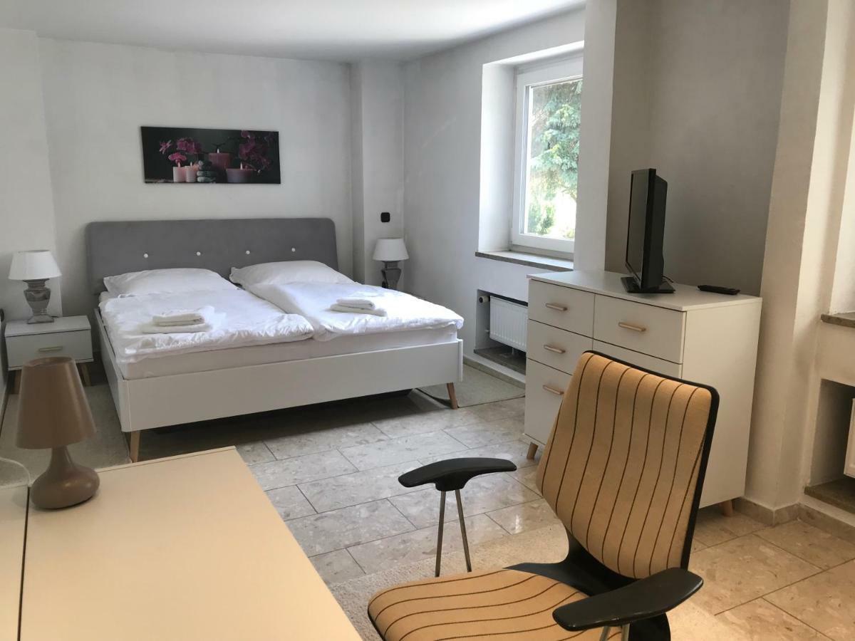 Apartment Direkt An Der Waldnaab Нойштадт-ан-дер-Вальднааб Экстерьер фото