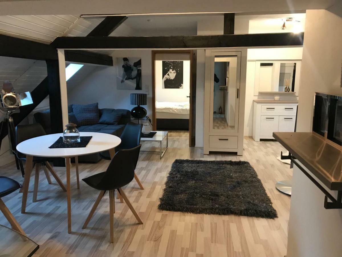 Apartment Direkt An Der Waldnaab Нойштадт-ан-дер-Вальднааб Экстерьер фото