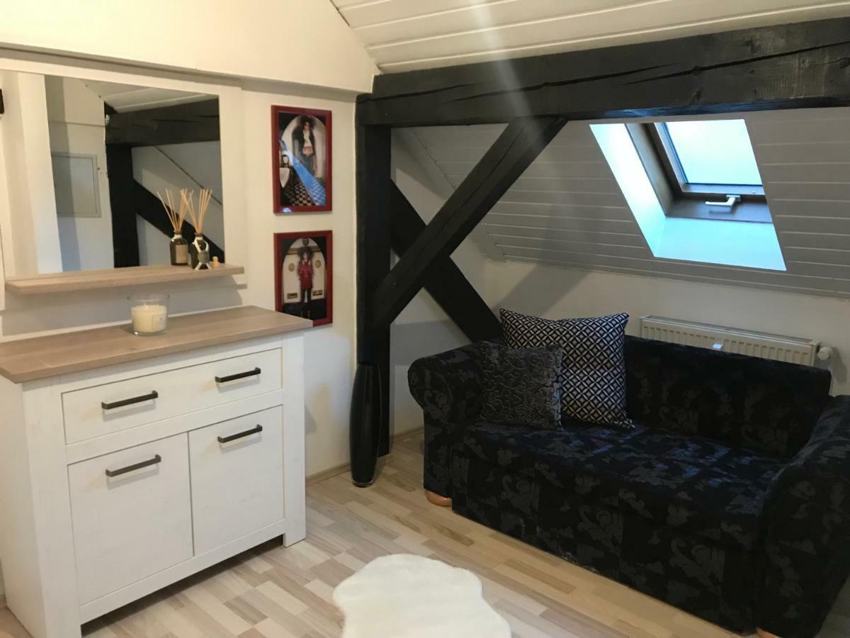 Apartment Direkt An Der Waldnaab Нойштадт-ан-дер-Вальднааб Экстерьер фото